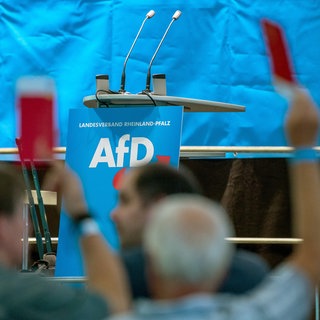 AfD-Mitglieder sollen in RLP künftig vom Staatsdienst ausgeschlossen werden, Staatsrechtler halten dies für nicht rechtens.