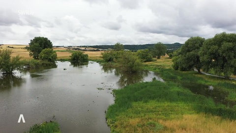 Thürer Wiesen