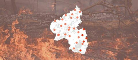 Eine Karte von Rheinland-Pfalz zeigt, wie hoch die Waldbrandgefahr aktuell an den Messstationen des Deutschen Wetterdienstes ist.