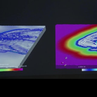 Katastrophen-Simulation am Computer