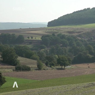 Rheinland-Pfalz Wetter vom 13.8.2025
