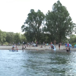 Rhein