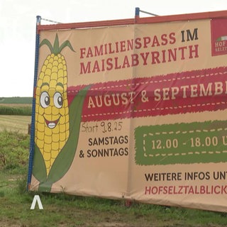 Das Plakat für Spass im Maislabyrinth