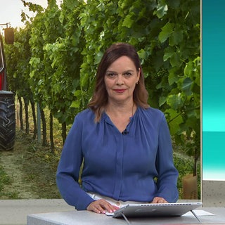 Nachrichtensprecherin Anke Neuzerling.