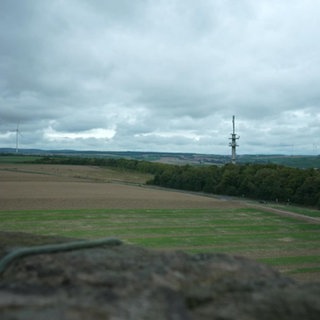 Landscape in Alzey
