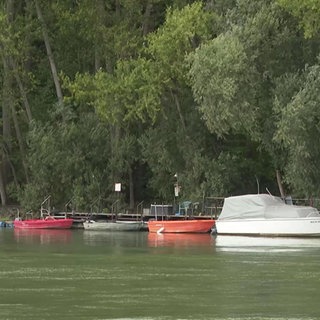 Ein Seiten-Kanal des Rheins bei Mainz