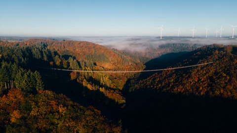 Schöne Landschaft - kein Handyempfang. Wer etwa über die Geierlay-Brücke bei Mörsdorf im Hunsrück spaziert, stößt immer wieder auf Funklöcher.