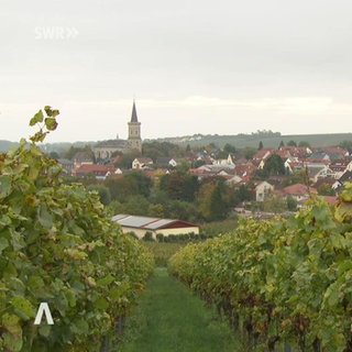 Rheinland-Pfalz Wetter vom 9.10.2025