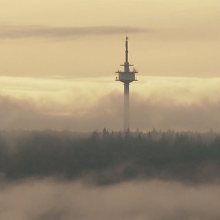 Sendemast im Nebel