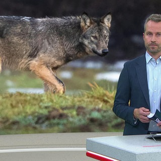 Nachrichtensprecher Stephan Ebmeyer