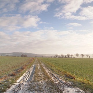 Eine weite Grünfläche unter blauem Himmel mit leichten Wolken
