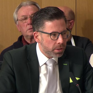 Philipp Fernis, FDP