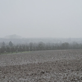 Verschneites Feld