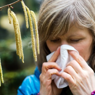 Frau mit Taschentuch vor einer Hasel: In Rheinland-Pfalz fliegen die Pollen immer früher. 