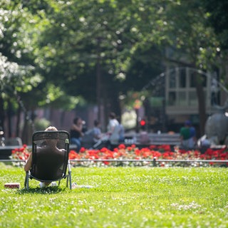 In Rheinland-Pfalz wird es immer sonniger. In den kommenden werden Temperaturen von örtlich fast 30 Grad erwartet.