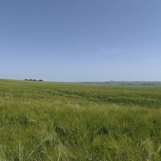 Landschaft