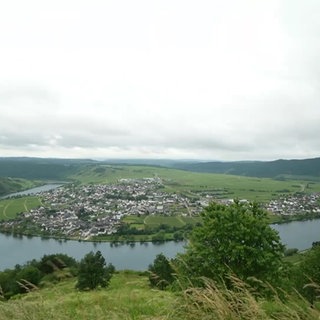 Schlinge der Mosel