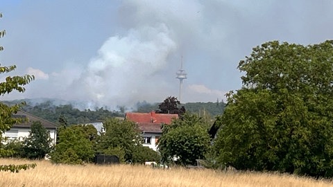 Durch den Waldbrand am Rotenfels wird auch ein Funkturm bedroht