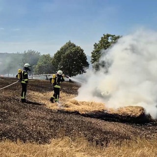 Feuerwehrleute löschen einen Feldbrand