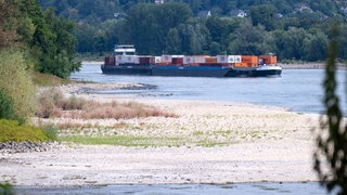 Niedrigwasser im Rhein bremst Schiffsverkehr aus