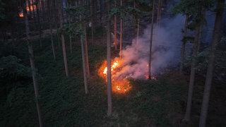 Blick von oben auf ein Feuer in einem Wald bei Bad Kreuznach (Archivbild)