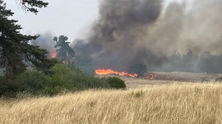 Die Flammen bei Reichenbach im Hunsrück haben rund zehn Hektar Wald und Feld erfasst.