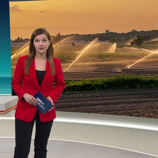 Nachrichtensprecherin Christina Dietrich