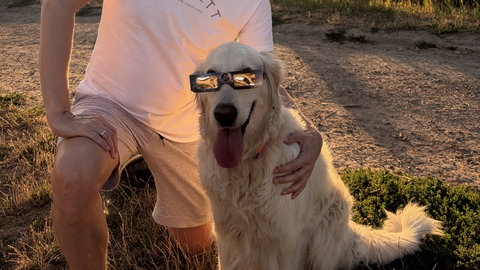 Ein Hund und sein Besitzer mit Sonnenfinsternis-Brille.