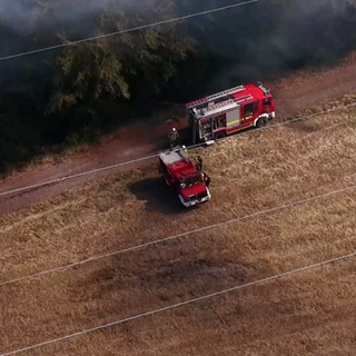 Feuerwehr löscht Waldbrand