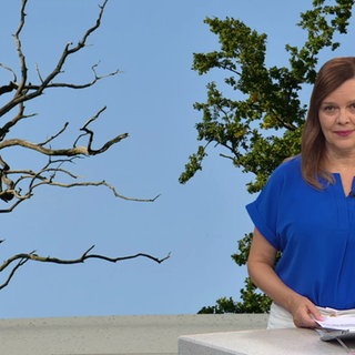 Nachrichtensprecherin Anke Neuzerling