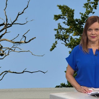 Nachrichtensprecherin Anke Neuzerling