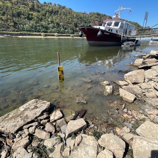 Ein Schiff liegt in Kaub am Rhein. Lieferketten und Landwirtschaft leiden unter dem Niedrigwasser und der Trockenheit.