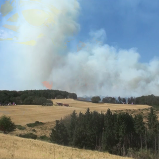 Waldbrand Langscheid