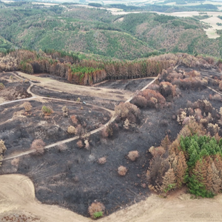 Der Waldbrand in Langscheid in der Vordereifel im August 2026 hat eine verkohlte Geisterlandschaft hinterlassen, wie diese Drohnenbilder zeigen. 