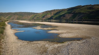 Niedrigwasser im Rhein: In Koblenz beraten Fachleute und Rheinanlieger über neue Strategien.