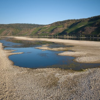 Niedrigwasser im Rhein: In Koblenz beraten Fachleute und Rheinanlieger über neue Strategien.