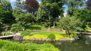 Der Japanische Garten in Kaiserslautern bringt Fernost in die Westpfalz.