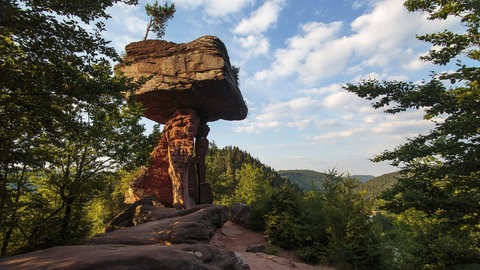 Der Teufelstisch im Pfälzerwald in der Südwestpfalz.