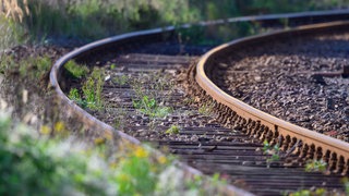 Unkraut wächst zwischen Bahngleisen. 