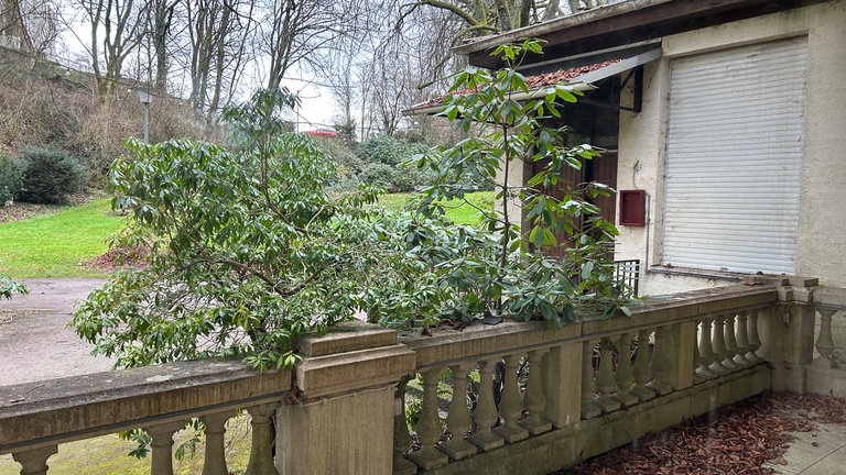 Die Sanierung der historischen Villa im Neufferpark Pirmasens schreitet voran.