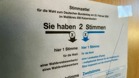 Im Wahlkreis Kaiserslautern sind rund 224.000 Menschen für die Bundestagswahl wahlberechtigt. 