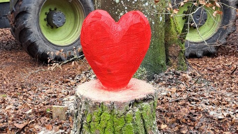 Nachdem der Holz-Betzi im Pfälzerwald bei Johanniskreuz mehrfach Opfer von Vandalismus wurde, hat der Holzkünstler Stefan Niederlechner jetzt neue Figuren zwischen Münchweiler und Rodalben aufgestellt.Auch für FCK-Fans.