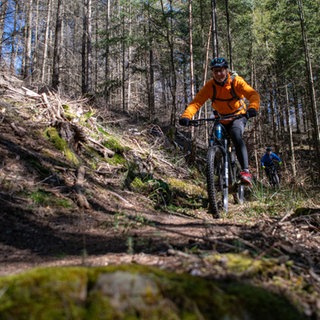 Der Mountainbikepark Pfälzerwald verbessert einige seiner Touren.