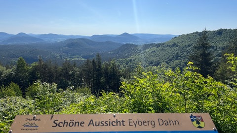 Blick über den Pfälzerwald im Dahner Felsenland im Kreis Südwestpfalz im Frühling im Mai bei blauem Himmel.