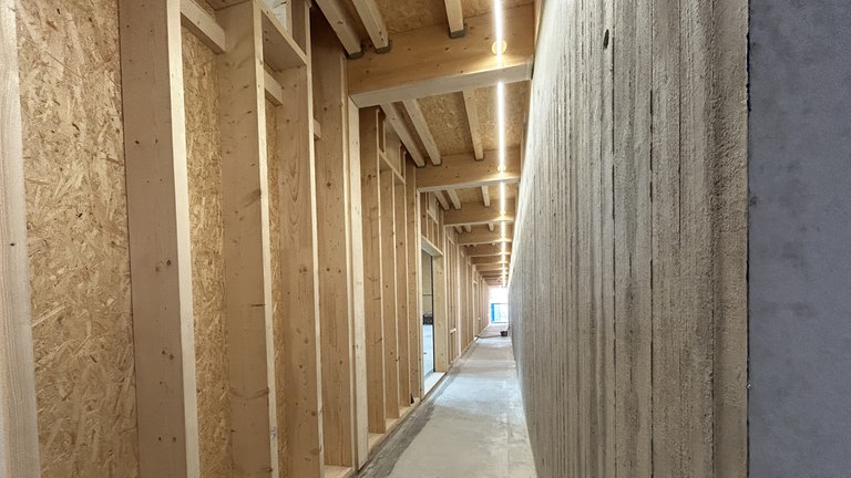 Modern und effizient. Das neue Gebäude soll laut Stadt eine Turnhalle zum Wohlfühlen sein mit gutem Raumklima und viel Licht. 