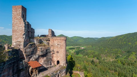 Ausflugs-Tipps rund um den Pfälzerwald.