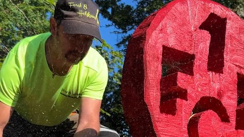 Nach Beschwerden musste das FCK Logo aus Holz im Pfälzerwald entfernt werden. Weitere sollen folgen. 