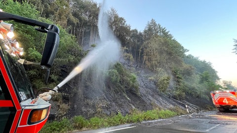 Die Einsatzkräfte löschen das Feuer beim Waldbrand zwischen Pirmasens und Rodalben.
