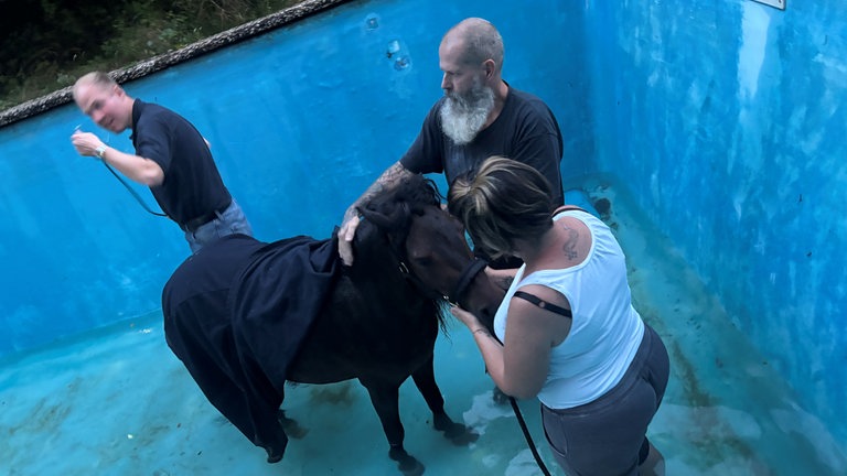 Während die Tierretter das erschöpfte Pferd beruhigen, ist der Tierarzt vor Ort im Aschbacherhof, um den gesundheitszustand festzustellen. 