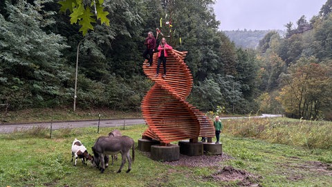 Zwei Architektur-Studentinnen aus München haben einen Wettbewerb mit einem Kletterturm für Ziegen gewonnen. Der Turm ist wie ein Ziegenhorn geformt und komplett aus Holz. 